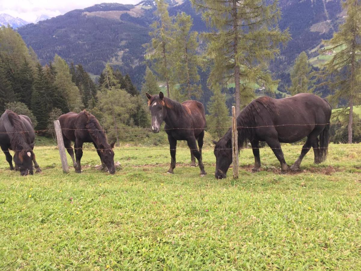 Lindbichlhof Urlaub Am Bio Bauernhof Διαμέρισμα Sankt Johann im Pongau Εξωτερικό φωτογραφία