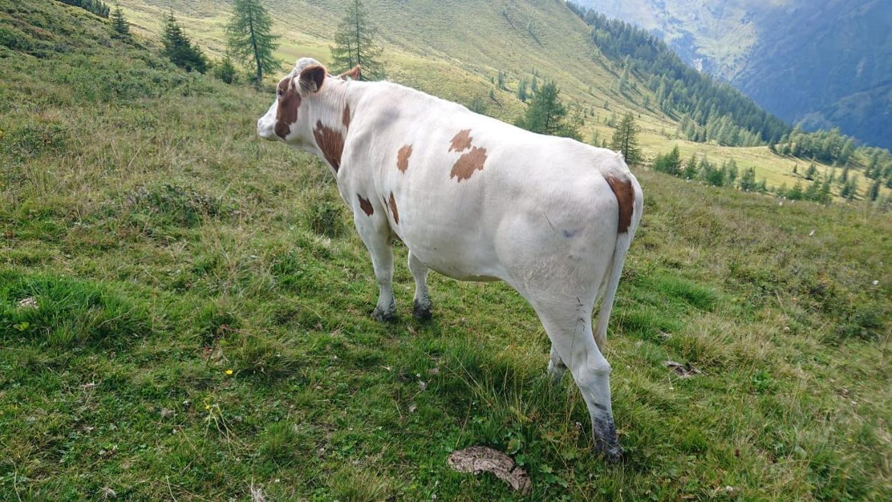 Lindbichlhof Urlaub Am Bio Bauernhof Διαμέρισμα Sankt Johann im Pongau Εξωτερικό φωτογραφία
