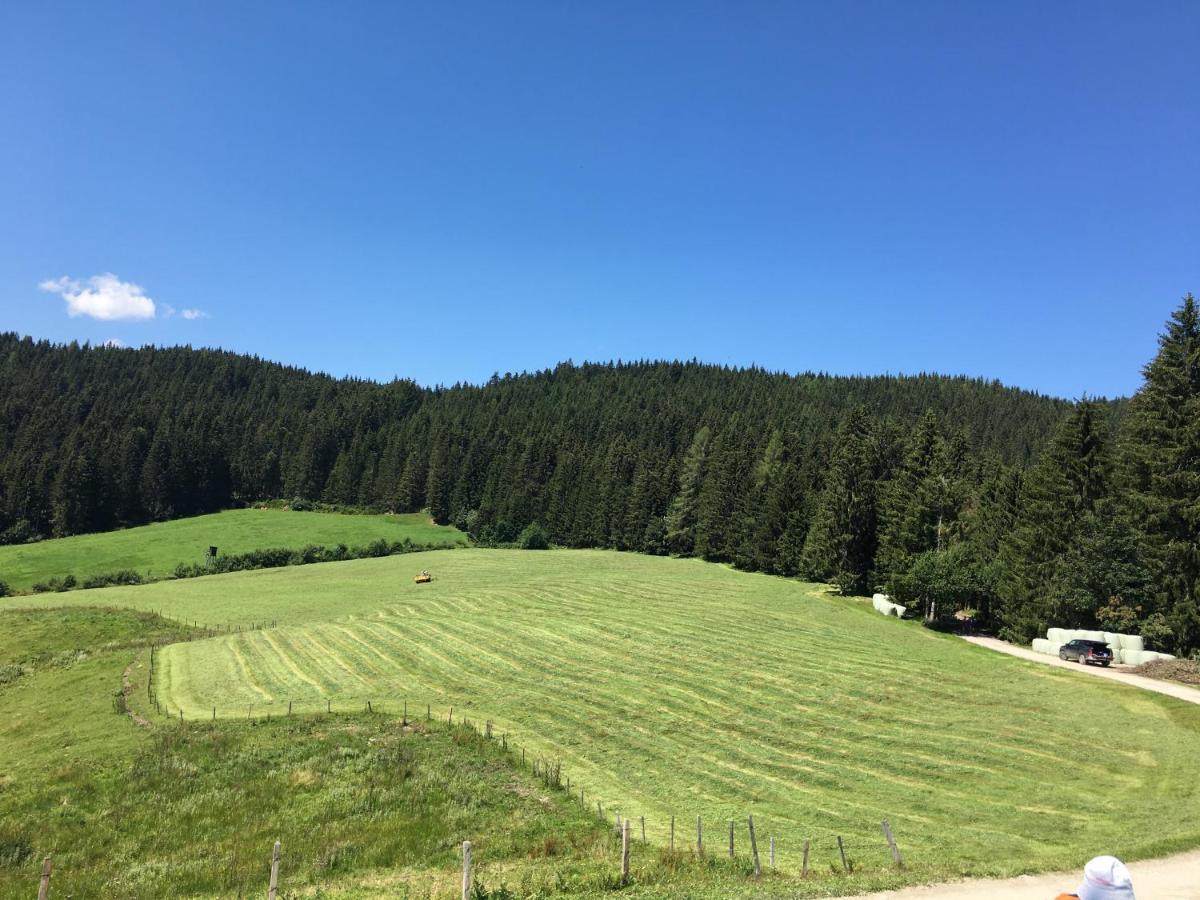 Lindbichlhof Urlaub Am Bio Bauernhof Διαμέρισμα Sankt Johann im Pongau Εξωτερικό φωτογραφία
