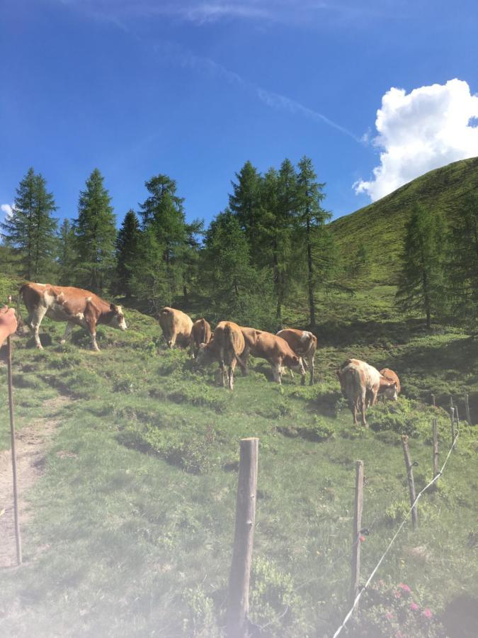 Lindbichlhof Urlaub Am Bio Bauernhof Διαμέρισμα Sankt Johann im Pongau Εξωτερικό φωτογραφία