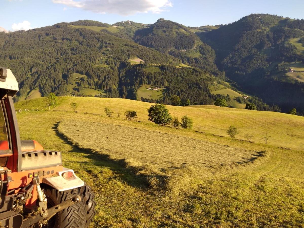 Lindbichlhof Urlaub Am Bio Bauernhof Διαμέρισμα Sankt Johann im Pongau Εξωτερικό φωτογραφία