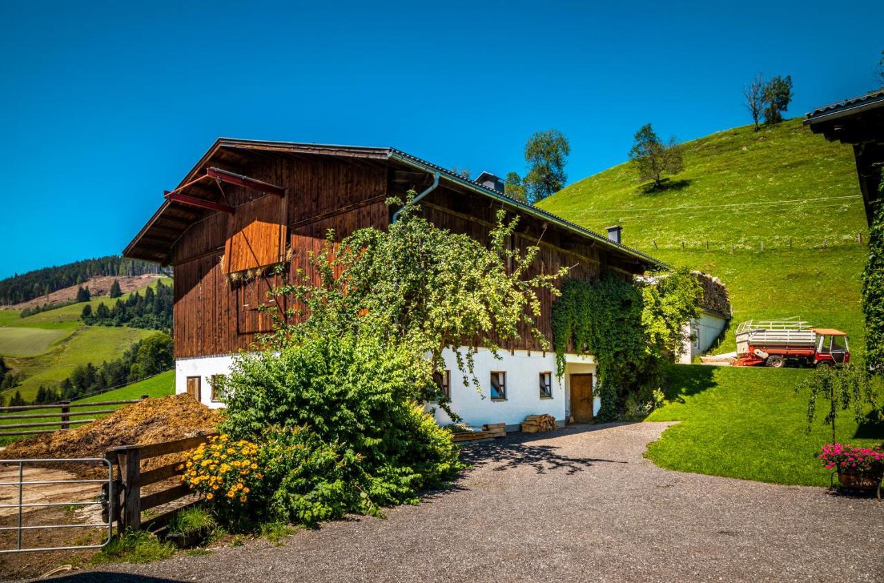 Lindbichlhof Urlaub Am Bio Bauernhof Διαμέρισμα Sankt Johann im Pongau Εξωτερικό φωτογραφία
