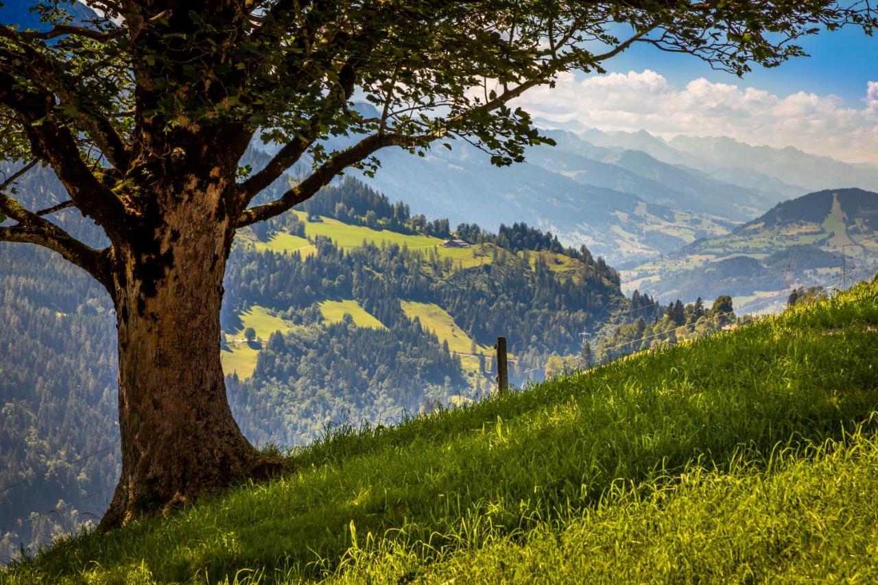 Lindbichlhof Urlaub Am Bio Bauernhof Διαμέρισμα Sankt Johann im Pongau Εξωτερικό φωτογραφία
