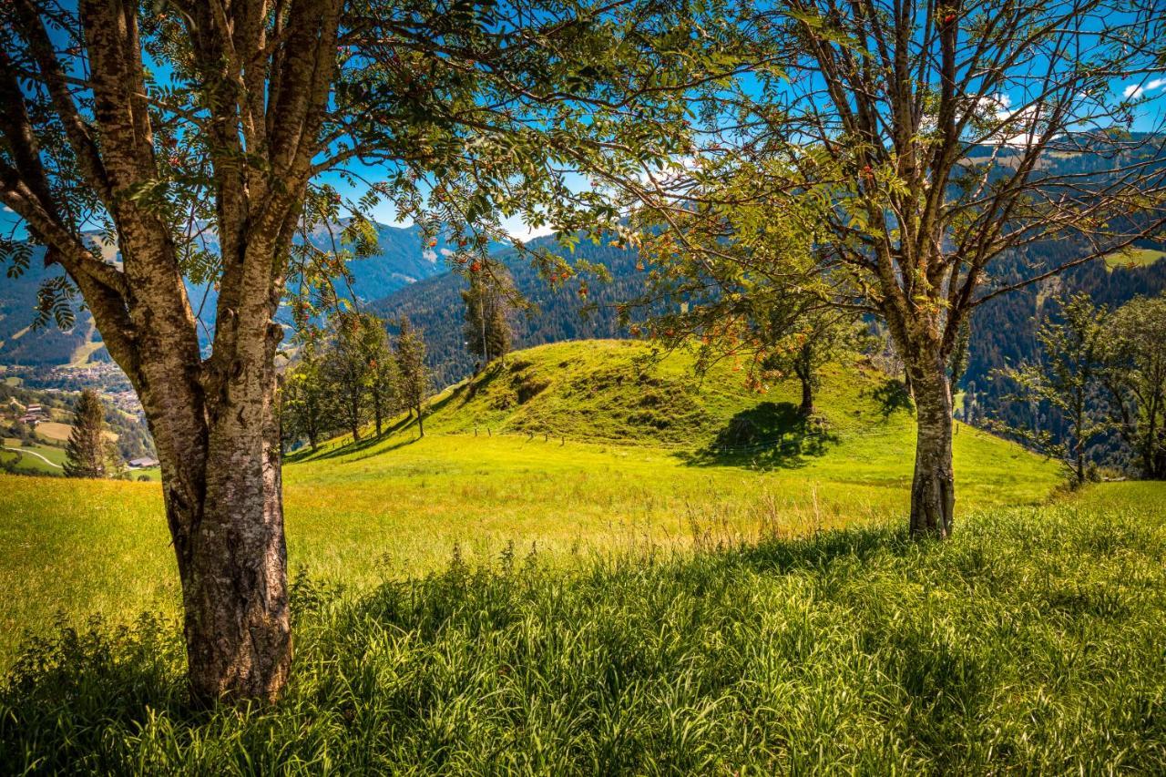Lindbichlhof Urlaub Am Bio Bauernhof Διαμέρισμα Sankt Johann im Pongau Εξωτερικό φωτογραφία
