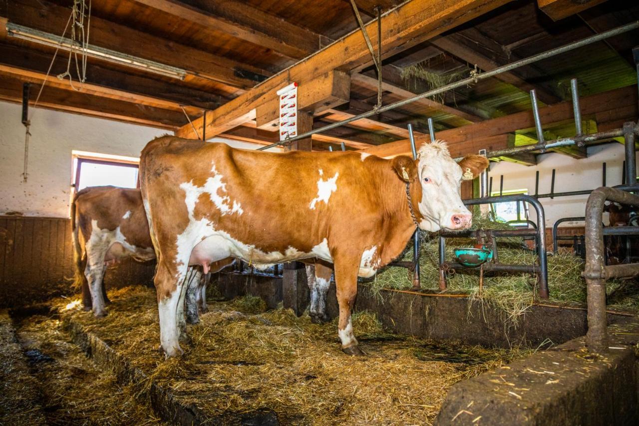 Lindbichlhof Urlaub Am Bio Bauernhof Διαμέρισμα Sankt Johann im Pongau Εξωτερικό φωτογραφία